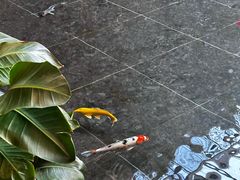 -天津海河悦榕庄·Lobby Lounge大堂吧