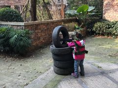 -成都蒲江花样年福朋喜来登度假酒店·宜客乐西餐厅