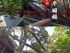 -晋祠公园