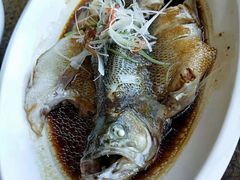 -红栌温泉山庄生态美食餐厅