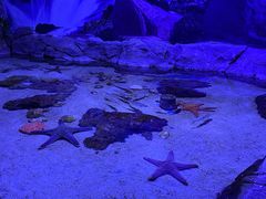 -多彩贵州城极地海洋世界