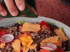 烤南瓜藜麦沙拉-La Terre乐田(万象城店)