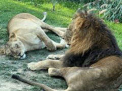 -北京野生动物园