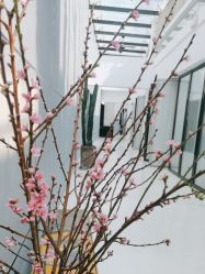 -无界瑜伽普拉提