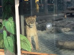 -西安秦岭野生动物园