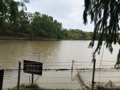 -上海海湾国家森林公园