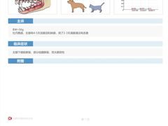 -立德动物医院·异宠·CT·鹦鹉(天河店)