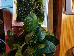 -小四川老火锅(欧风店)