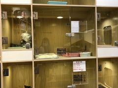 -屋虎猫馆(宝安大仟里店)