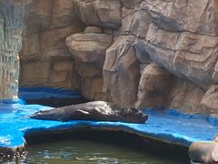 -华夏文旅海洋公园