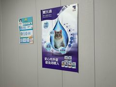 -半岛宠物医院24小时(科华中路店)