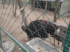 -大连铭湖国际观光牧场