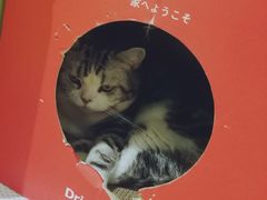 -小时光咖啡馆(开森度假森林店)