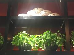 -渝是乎川渝小炒(新世界百货望京店)