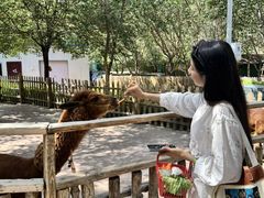 -水上乐园·欢乐世界