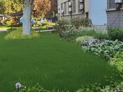 -中国人民解放军空军第九八六医院(北区)