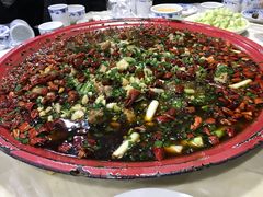 -东吴霸王兔(松青路店)