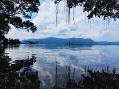 -大埔公路-马料水段香港中文大学(公交站)