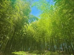 -良渚古城遗址公园