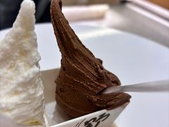 -野人先生现做冰淇淋(深圳壹方城店)