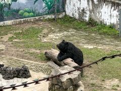 -黔灵山公园