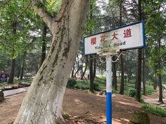-武汉大学-樱园