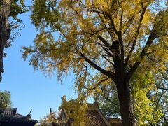 -狼山风景名胜区