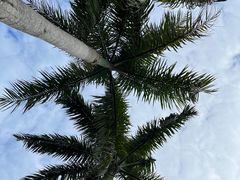 -三亚蜈支洲岛旅游区