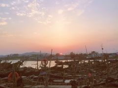 -日照海滨国家森林公园