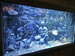 -华夏文旅海洋公园