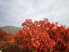 -周口店坡峰岭风景区