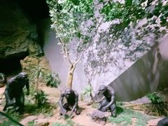 -北京周口店北京人遗址博物馆