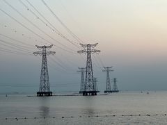 -宝安西湾红树林湿地公园