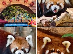 -深圳野生动物园