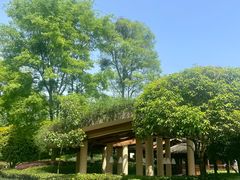 -青城山六善酒店·紫氣園中餐厅