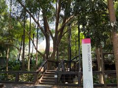 -布里斯班南岸公园