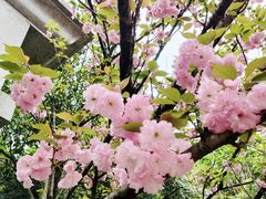 -杭州半山国家森林公园