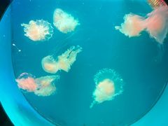 -广州海洋馆
