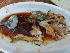 -东鸽皇(奥园·中环广场店)