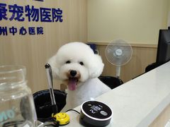 -宠颐生宠物医院·骨外科·犬猫全科诊疗中心(池州店)