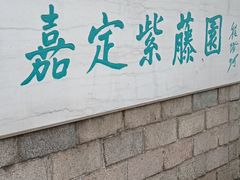 -嘉定紫藤园