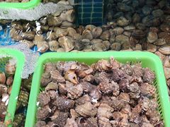 -和源祥·日照菜扛把子(万平口一店)