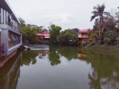 -锡才大羽羽毛球馆(深港花卉店)