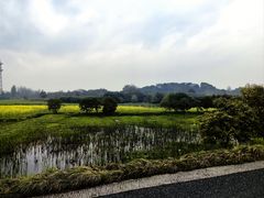 -良渚古城遗址公园