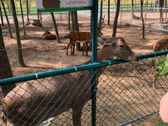 -大连铭湖国际观光牧场