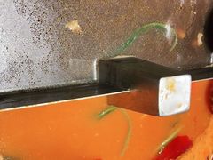 -海底捞火锅(奥森店)