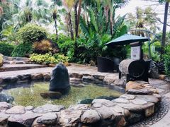 -厦门日月谷温泉渡假村