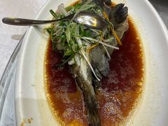 -国惠大酒楼(宝龙店)