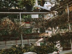 -小时光咖啡馆(北锣鼓巷店)