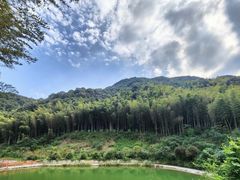 -午潮山国家森林公园